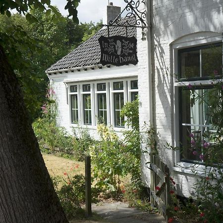 In De Witte Handt Midsland Exterior photo